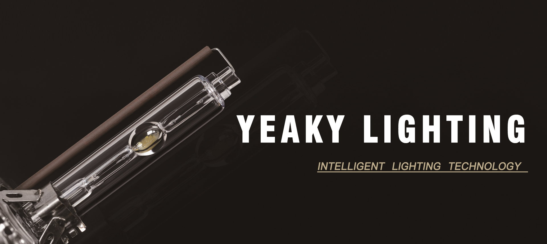 海寧市巖崎照明有限公司